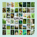 Stickerbox Grün alle 50 Sticker im Überblick für Journaling und Dekoration