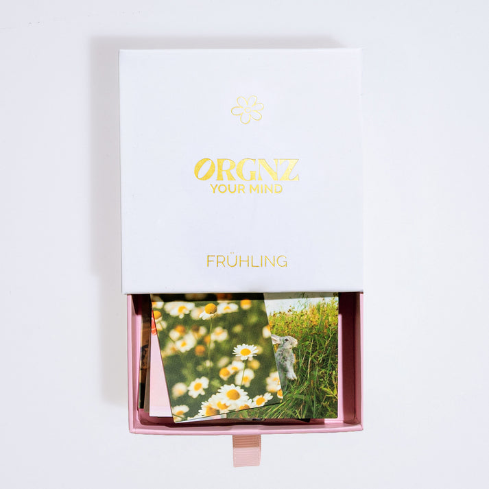 Sticker Box Jahreszeiten – 50 saisonale Sticker für Bullet Journal ...