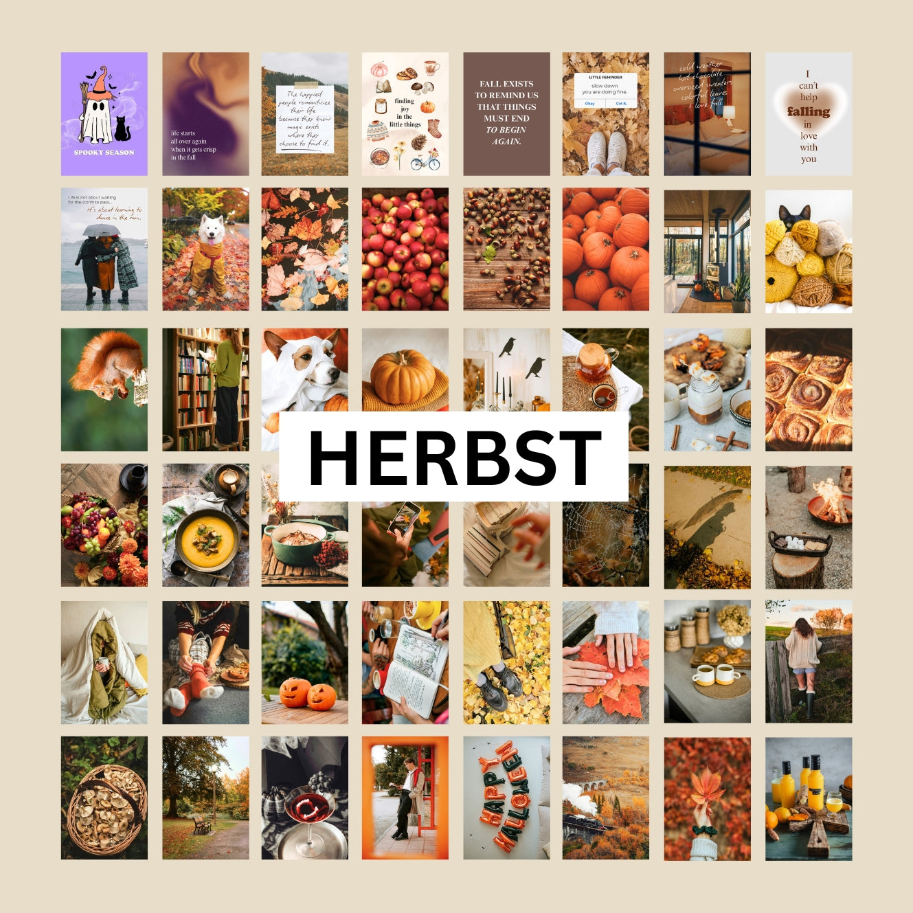c57f31ad-59cb-4063-a529-853343ea5e0e/herbst_ubersicht.jpg